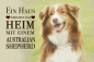 Preview: Metallschild Australian Shepherd